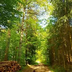 Eversberg Radring * Meschede