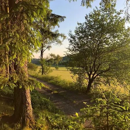 Eversberg Radring Appartement Meschede