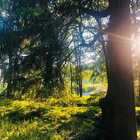 Appartamento Eversberg Radring *