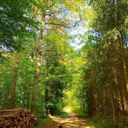 In Meschede-eversberg Naehe Winterberg Skiliftkarussell * Meschede