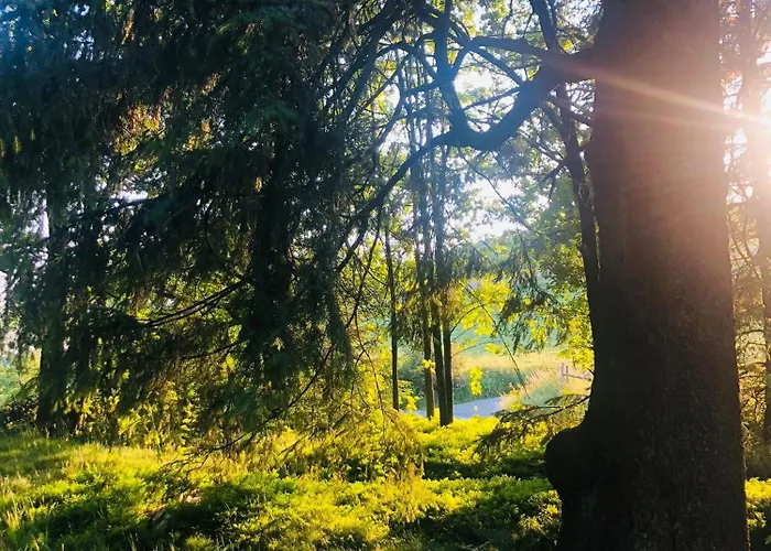 公寓 Eversberg Radring *