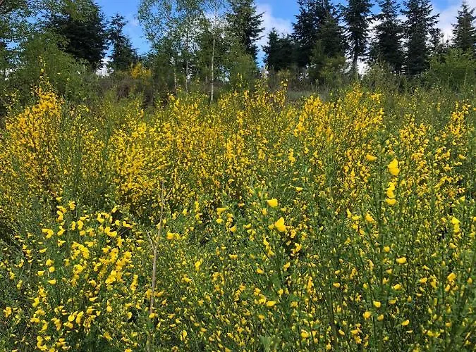 דירה Eversberg Radring *