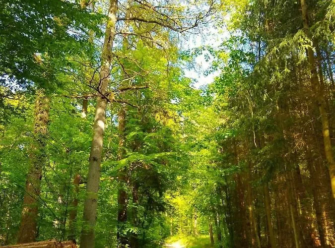 Eversberg Radring * 梅舍德